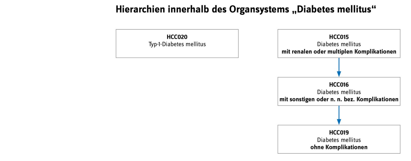 Schematische Darstellung der Hierarchien innerhalb des Organsystems "Diabetes mellitus"