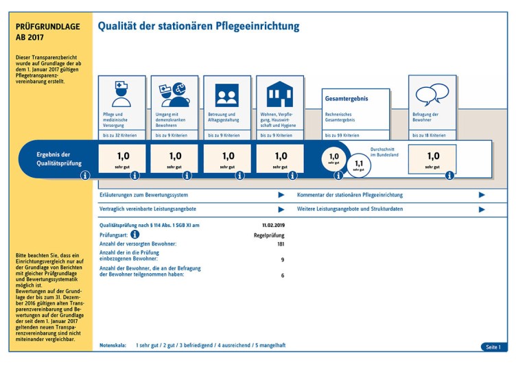 Beispielhafte Darstellung der Pflegenoten