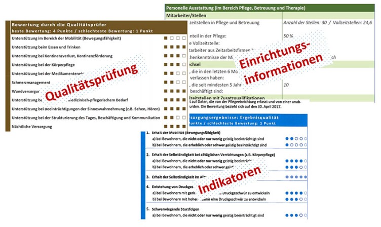 beispielhafte Auszüge der Qualitätsdarstellung