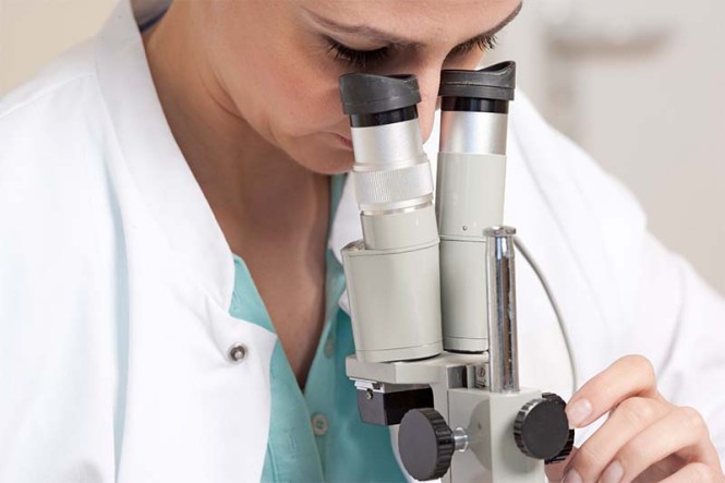 Eine Forscherin schaut in ein Mikroskop