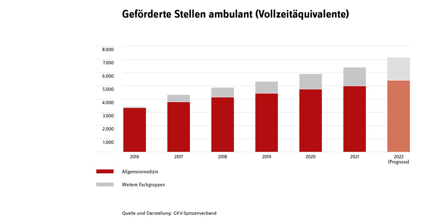 Statistik über geförderte ambulante Vollzeitstellen