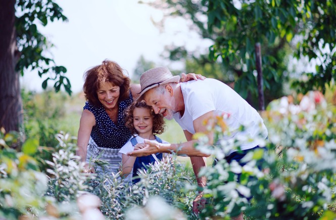Ein kleines Kind steht mit seinen Eltern in einem Kräutergarten. Gemeinsam betrachten und befühlen sie die Pflanzen. 